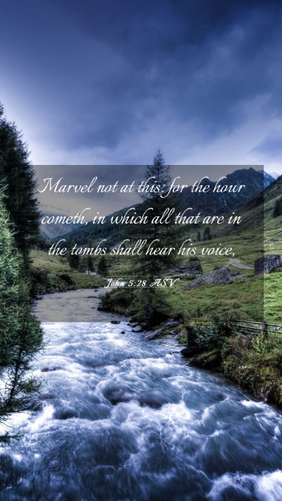 Picture 03 - John 5:28 ASV Mobile Phone Wallpaper - Marvel not at this: for the hour cometh, in which - Mobile Bible Verse Wallpaper