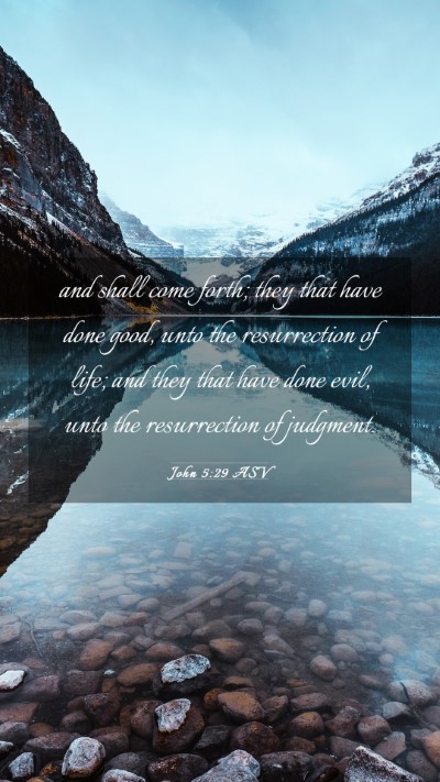 Picture 03 - John 5:29 ASV Mobile Phone Wallpaper - and shall come forth; they that have done good, - Mobile Bible Verse Wallpaper