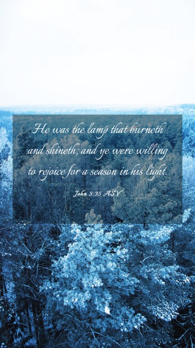 Picture 03 - John 5:35 ASV Mobile Phone Wallpaper - He was the lamp that burneth and shineth; and ye - Mobile Bible Verse Wallpaper