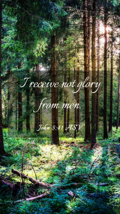 Picture 03 - John 5:41 ASV Mobile Phone Wallpaper - I receive not glory from - Mobile Bible Verse Wallpaper