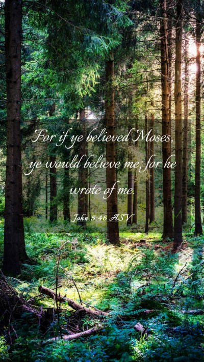 Picture 03 - John 5:46 ASV Mobile Phone Wallpaper - For if ye believed Moses, ye would believe me; - Mobile Bible Verse Wallpaper