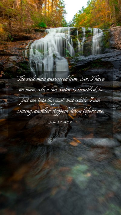 Picture 03 - John 5:7 ASV Mobile Phone Wallpaper - The sick man answered him, Sir, I have no man, - Mobile Bible Verse Wallpaper