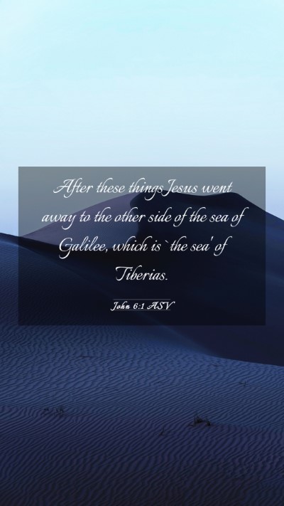Picture 03 - John 6:1 ASV Mobile Phone Wallpaper - After these things Jesus went away to the other - Mobile Bible Verse Wallpaper
