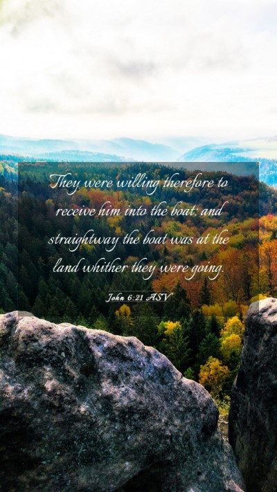 Picture 03 - John 6:21 ASV Mobile Phone Wallpaper - They were willing therefore to receive him into - Mobile Bible Verse Wallpaper