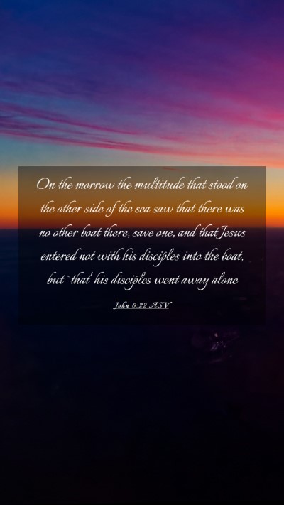 Picture 03 - John 6:22 ASV Mobile Phone Wallpaper - On the morrow the multitude that stood on the - Mobile Bible Verse Wallpaper