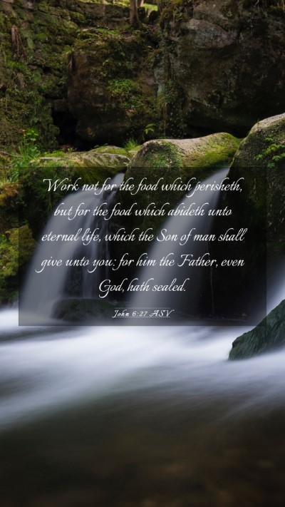 Picture 03 - John 6:27 ASV Mobile Phone Wallpaper - Work not for the food which perisheth, but for - Mobile Bible Verse Wallpaper