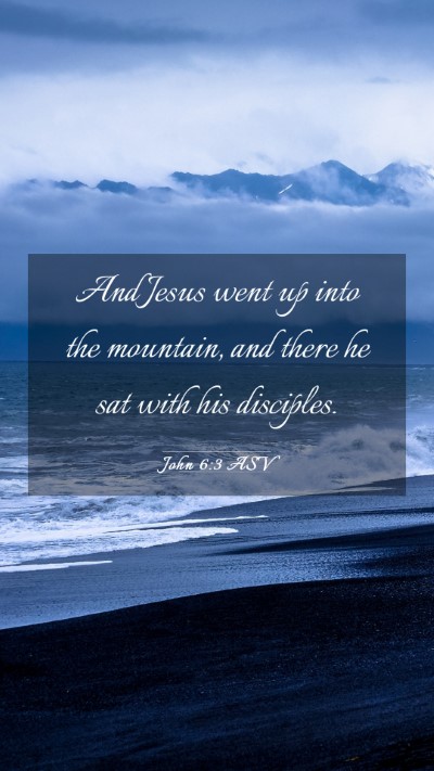 Picture 03 - John 6:3 ASV Mobile Phone Wallpaper - And Jesus went up into the mountain, and there he - Mobile Bible Verse Wallpaper