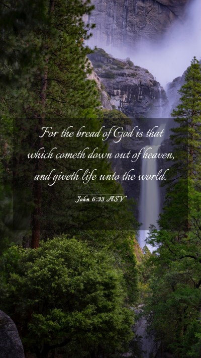 Picture 03 - John 6:33 ASV Mobile Phone Wallpaper - For the bread of God is that which cometh down - Mobile Bible Verse Wallpaper