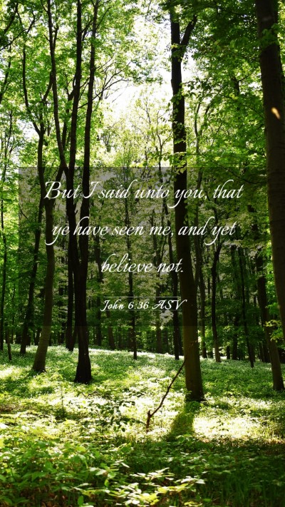 Picture 03 - John 6:36 ASV Mobile Phone Wallpaper - But I said unto you, that ye have seen me, and - Mobile Bible Verse Wallpaper
