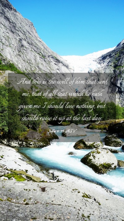Picture 03 - John 6:39 ASV Mobile Phone Wallpaper - And this is the will of him that sent me, that of - Mobile Bible Verse Wallpaper