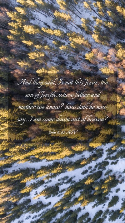Picture 03 - John 6:42 ASV Mobile Phone Wallpaper - And they said, Is not this Jesus, the son of - Mobile Bible Verse Wallpaper