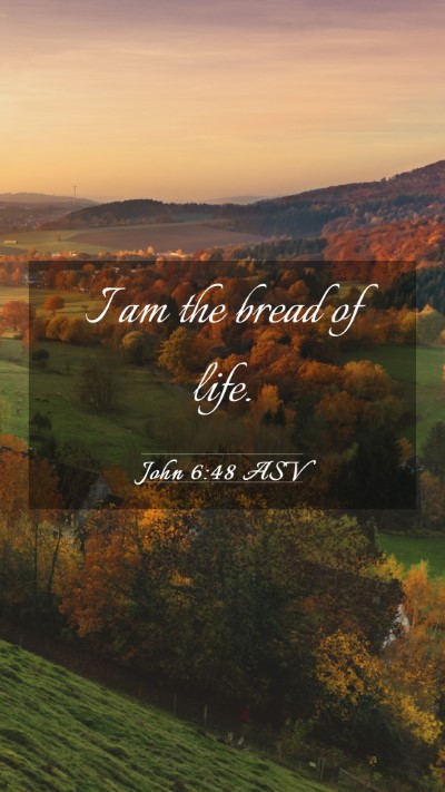 Picture 03 - John 6:48 ASV Mobile Phone Wallpaper - I am the bread of - Mobile Bible Verse Wallpaper