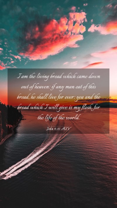 Picture 03 - John 6:51 ASV Mobile Phone Wallpaper - I am the living bread which came down out of - Mobile Bible Verse Wallpaper