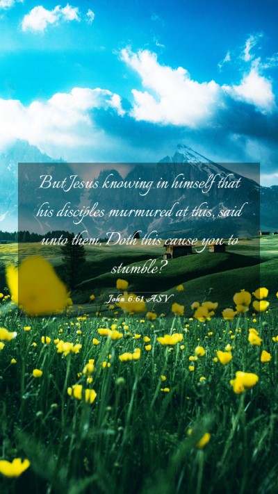 Picture 03 - John 6:61 ASV Mobile Phone Wallpaper - But Jesus knowing in himself that his disciples - Mobile Bible Verse Wallpaper