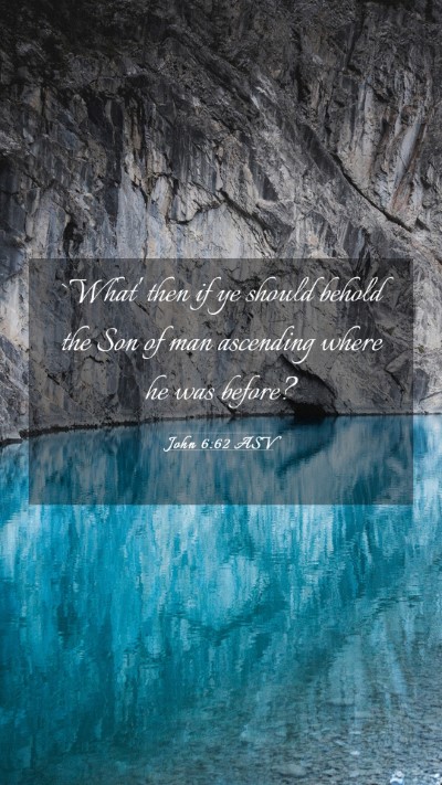 Picture 03 - John 6:62 ASV Mobile Phone Wallpaper - `What' then if ye should behold the Son of man - Mobile Bible Verse Wallpaper