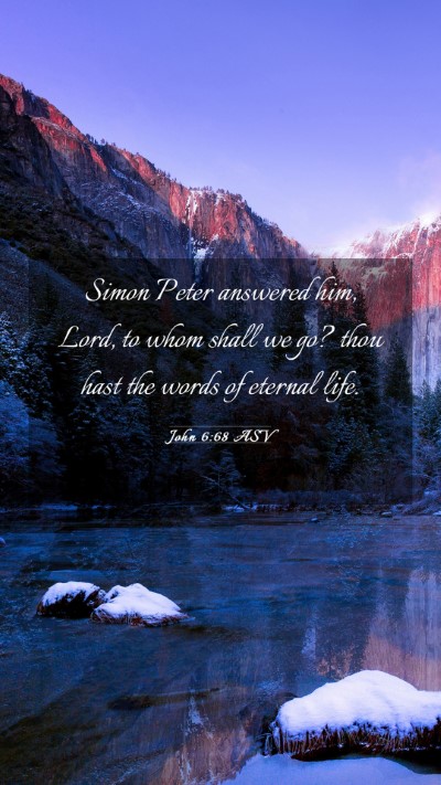 Picture 03 - John 6:68 ASV Mobile Phone Wallpaper - Simon Peter answered him, Lord, to whom shall we - Mobile Bible Verse Wallpaper