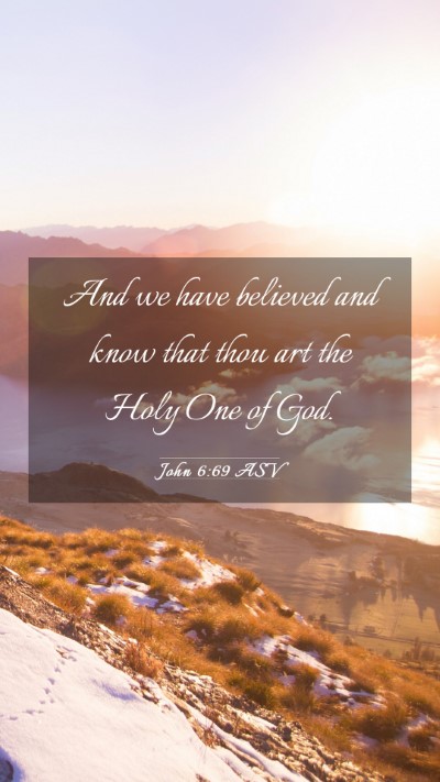 Picture 03 - John 6:69 ASV Mobile Phone Wallpaper - And we have believed and know that thou art the - Mobile Bible Verse Wallpaper