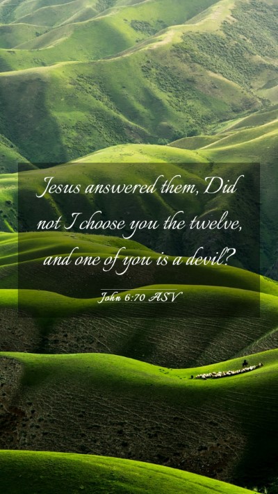 Picture 03 - John 6:70 ASV Mobile Phone Wallpaper - Jesus answered them, Did not I choose you the - Mobile Bible Verse Wallpaper