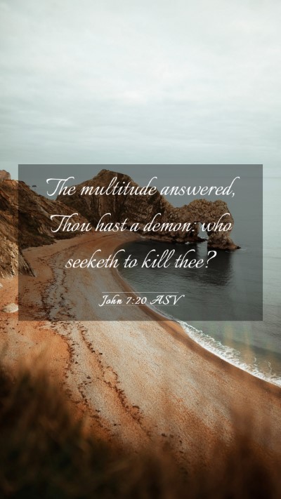 Picture 03 - John 7:20 ASV Mobile Phone Wallpaper - The multitude answered, Thou hast a demon: who - Mobile Bible Verse Wallpaper