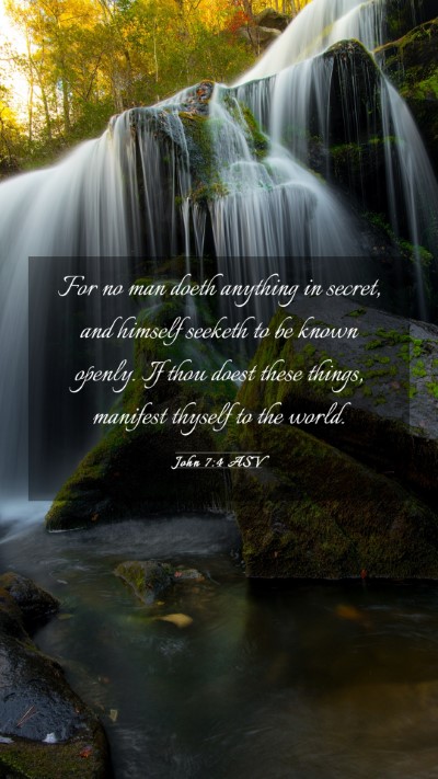 Picture 03 - John 7:4 ASV Mobile Phone Wallpaper - For no man doeth anything in secret, and himself - Mobile Bible Verse Wallpaper