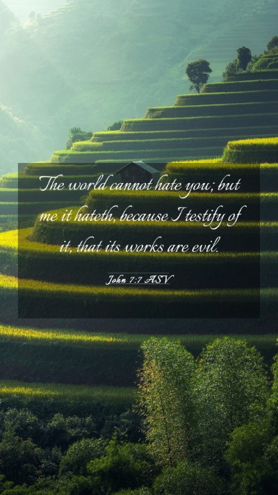 Picture 03 - John 7:7 ASV Mobile Phone Wallpaper - The world cannot hate you; but me it hateth, - Mobile Bible Verse Wallpaper