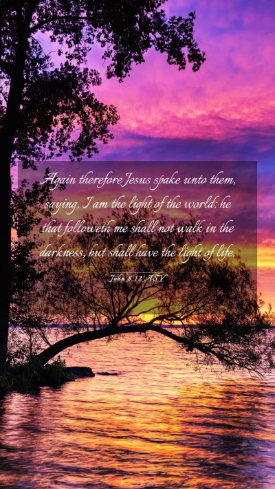 Picture 03 - John 8:12 ASV Mobile Phone Wallpaper - Again therefore Jesus spake unto them, saying, I - Mobile Bible Verse Wallpaper
