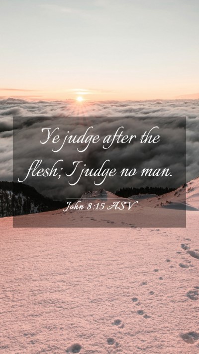 Picture 03 - John 8:15 ASV Mobile Phone Wallpaper - Ye judge after the flesh; I judge no - Mobile Bible Verse Wallpaper
