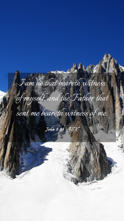 Picture 03 - John 8:18 ASV Mobile Phone Wallpaper - I am he that beareth witness of myself, and the - Mobile Bible Verse Wallpaper