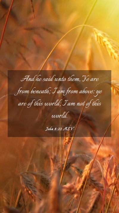 Picture 03 - John 8:23 ASV Mobile Phone Wallpaper - And he said unto them, Ye are from beneath; I am - Mobile Bible Verse Wallpaper