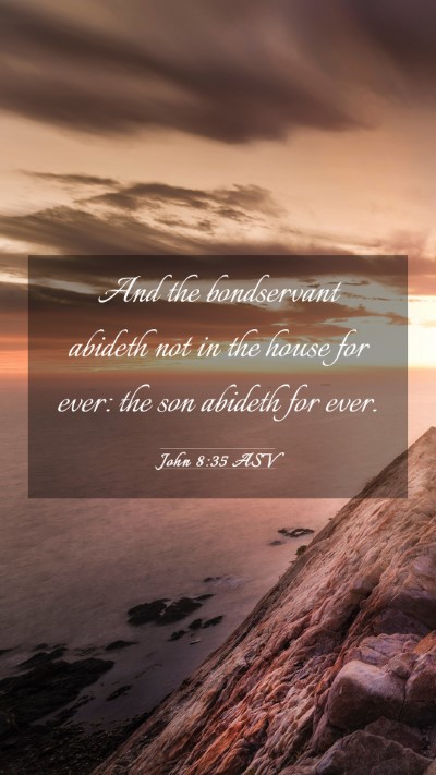 Picture 03 - John 8:35 ASV Mobile Phone Wallpaper - And the bondservant abideth not in the house for - Mobile Bible Verse Wallpaper