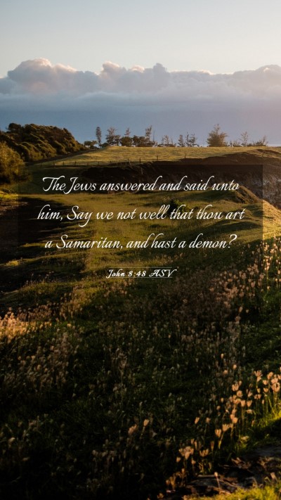 Picture 03 - John 8:48 ASV Mobile Phone Wallpaper - The Jews answered and said unto him, Say we not - Mobile Bible Verse Wallpaper