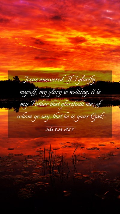Picture 03 - John 8:54 ASV Mobile Phone Wallpaper - Jesus answered, If I glorify myself, my glory is - Mobile Bible Verse Wallpaper
