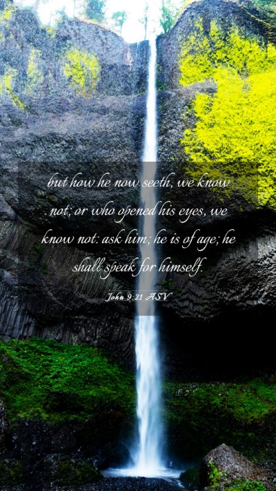 Picture 03 - John 9:21 ASV Mobile Phone Wallpaper - but how he now seeth, we know not; or who opened - Mobile Bible Verse Wallpaper