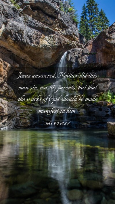 Picture 03 - John 9:3 ASV Mobile Phone Wallpaper - Jesus answered, Neither did this man sin, nor his - Mobile Bible Verse Wallpaper