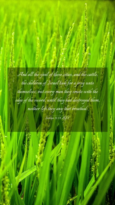 Picture 03 - Joshua 11:14 ASV Mobile Phone Wallpaper - And all the spoil of these cities, and the - Mobile Bible Verse Wallpaper