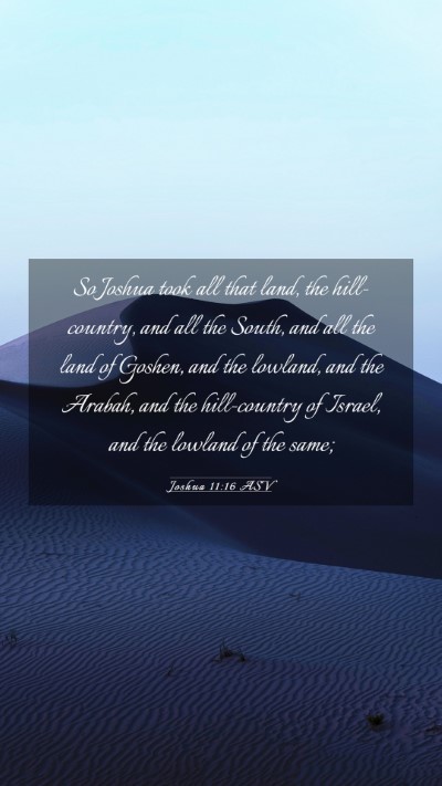 Picture 03 - Joshua 11:16 ASV Mobile Phone Wallpaper - So Joshua took all that land, the hill-country, - Mobile Bible Verse Wallpaper