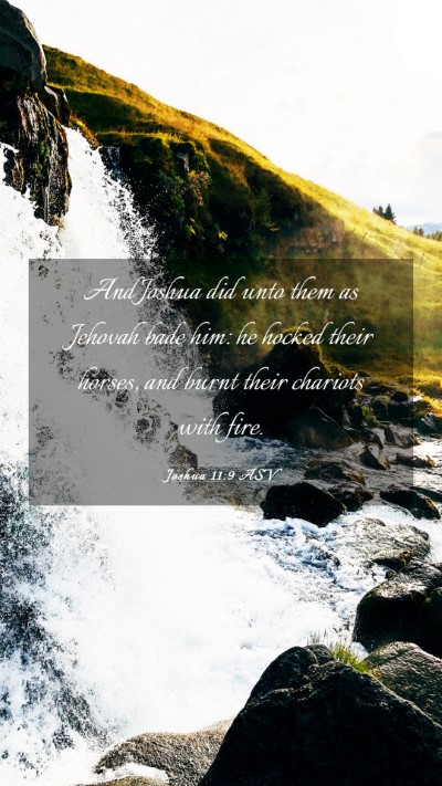 Picture 03 - Joshua 11:9 ASV Mobile Phone Wallpaper - And Joshua did unto them as Jehovah bade him: he - Mobile Bible Verse Wallpaper