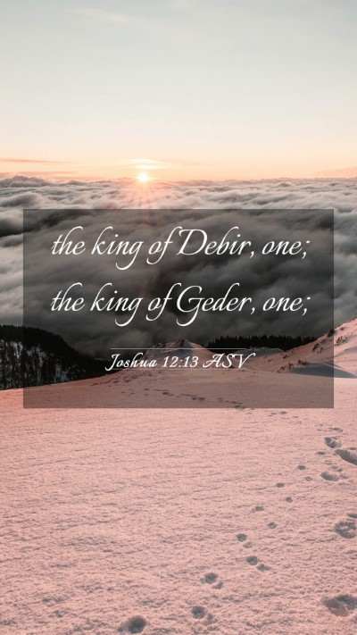Picture 03 - Joshua 12:13 ASV Mobile Phone Wallpaper - the king of Debir, one; the king of Geder, - Mobile Bible Verse Wallpaper