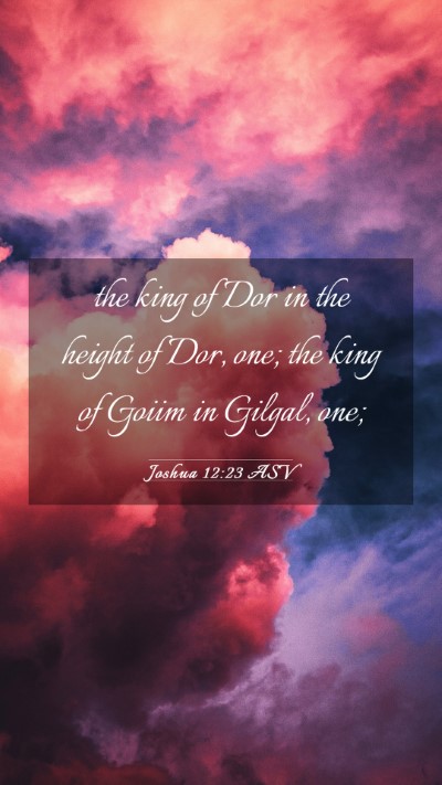 Picture 03 - Joshua 12:23 ASV Mobile Phone Wallpaper - the king of Dor in the height of Dor, one; the - Mobile Bible Verse Wallpaper