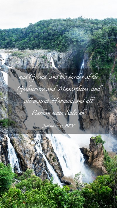 Picture 03 - Joshua 13:11 ASV Mobile Phone Wallpaper - and Gilead, and the border of the Geshurites and - Mobile Bible Verse Wallpaper