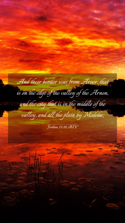 Picture 03 - Joshua 13:16 ASV Mobile Phone Wallpaper - And their border was from Aroer, that is on the - Mobile Bible Verse Wallpaper