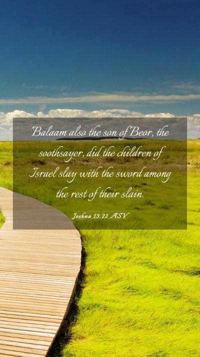 Picture 03 - Joshua 13:22 ASV Mobile Phone Wallpaper - Balaam also the son of Beor, the soothsayer, did - Mobile Bible Verse Wallpaper