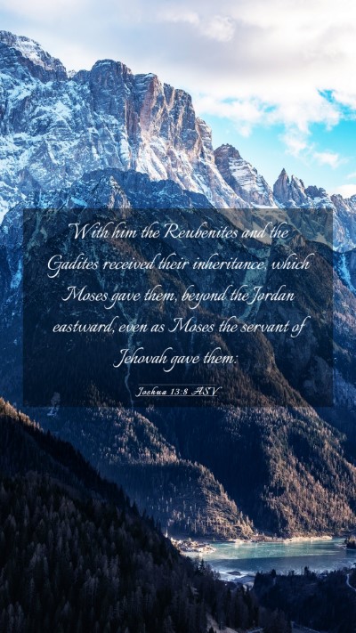 Picture 03 - Joshua 13:8 ASV Mobile Phone Wallpaper - With him the Reubenites and the Gadites received - Mobile Bible Verse Wallpaper