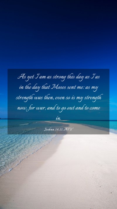 Picture 03 - Joshua 14:11 ASV Mobile Phone Wallpaper - As yet I am as strong this day as I as in the day - Mobile Bible Verse Wallpaper