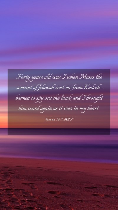Picture 03 - Joshua 14:7 ASV Mobile Phone Wallpaper - Forty years old was I when Moses the servant of - Mobile Bible Verse Wallpaper