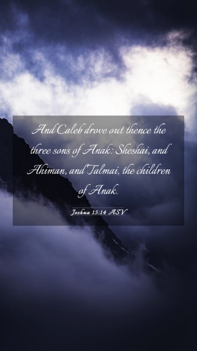 Picture 03 - Joshua 15:14 ASV Mobile Phone Wallpaper - And Caleb drove out thence the three sons of - Mobile Bible Verse Wallpaper
