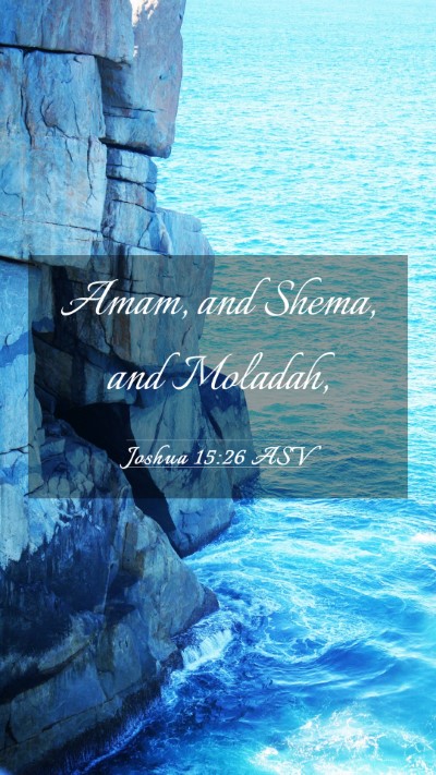 Picture 03 - Joshua 15:26 ASV Mobile Phone Wallpaper - Amam, and Shema, and - Mobile Bible Verse Wallpaper