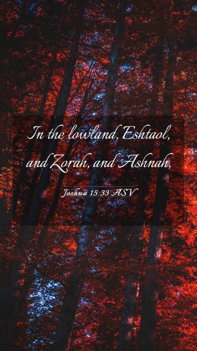 Picture 03 - Joshua 15:33 ASV Mobile Phone Wallpaper - In the lowland, Eshtaol, and Zorah, and - Mobile Bible Verse Wallpaper
