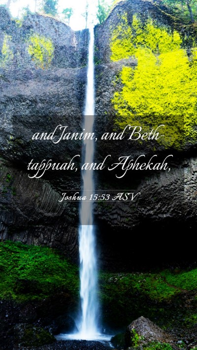 Picture 03 - Joshua 15:53 ASV Mobile Phone Wallpaper - and Janim, and Beth-tappuah, and - Mobile Bible Verse Wallpaper