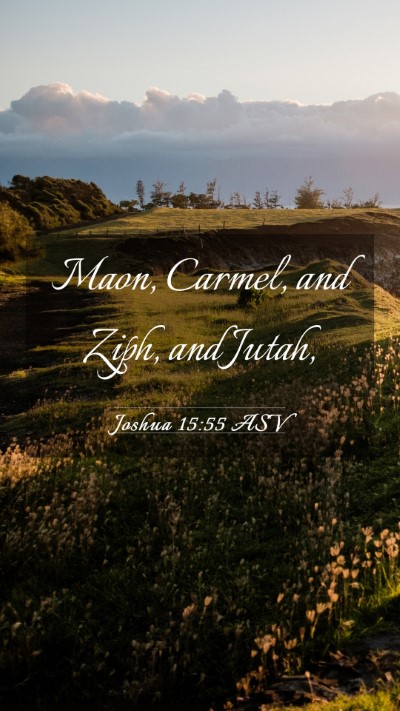 Picture 03 - Joshua 15:55 ASV Mobile Phone Wallpaper - Maon, Carmel, and Ziph, and - Mobile Bible Verse Wallpaper